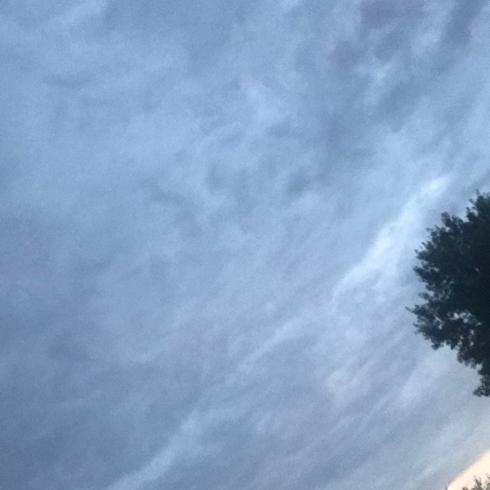 Meet your Posher, Bernadeth